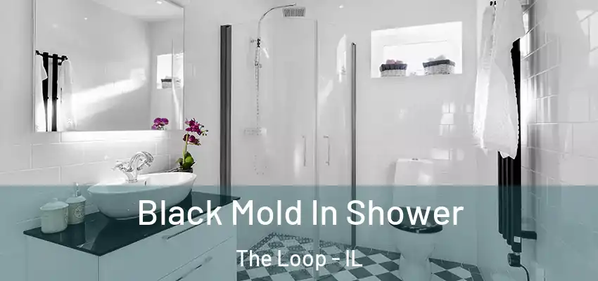  Black Mold In Shower The Loop - IL