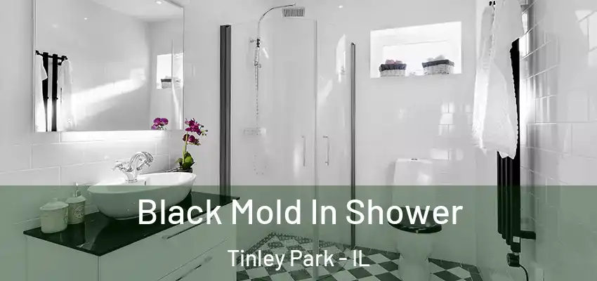  Black Mold In Shower Tinley Park - IL