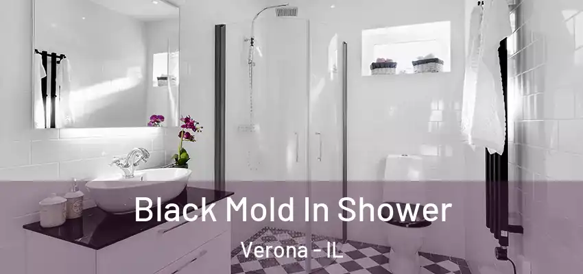 Black Mold In Shower Verona - IL