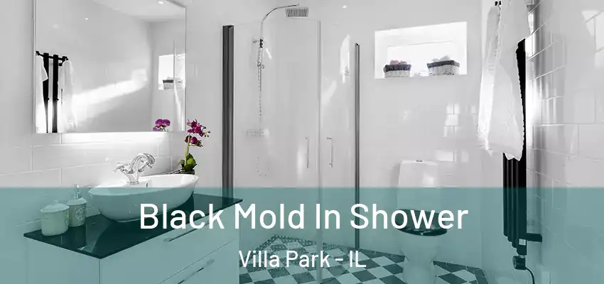 Black Mold In Shower Villa Park - IL
