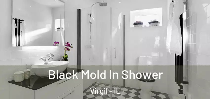 Black Mold In Shower Virgil - IL