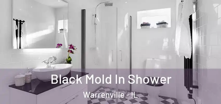 Black Mold In Shower Warrenville - IL