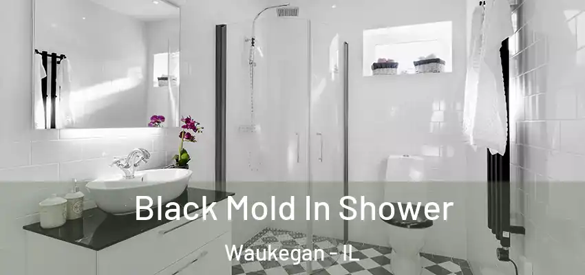  Black Mold In Shower Waukegan - IL