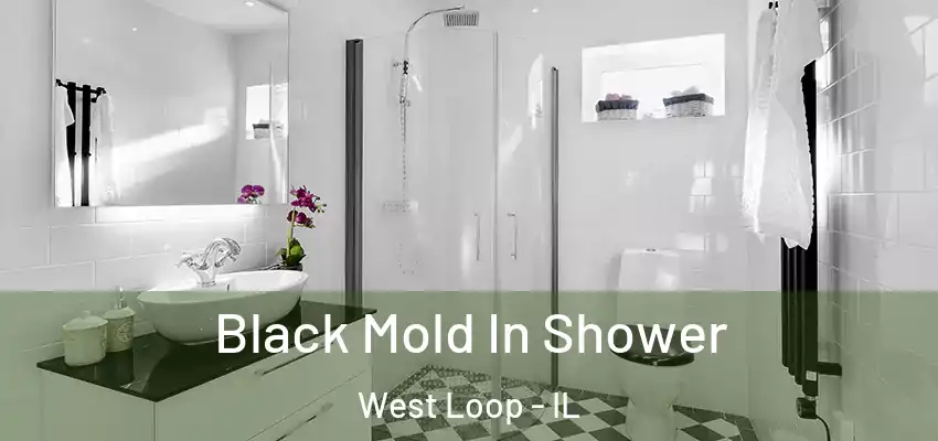 Black Mold In Shower West Loop - IL
