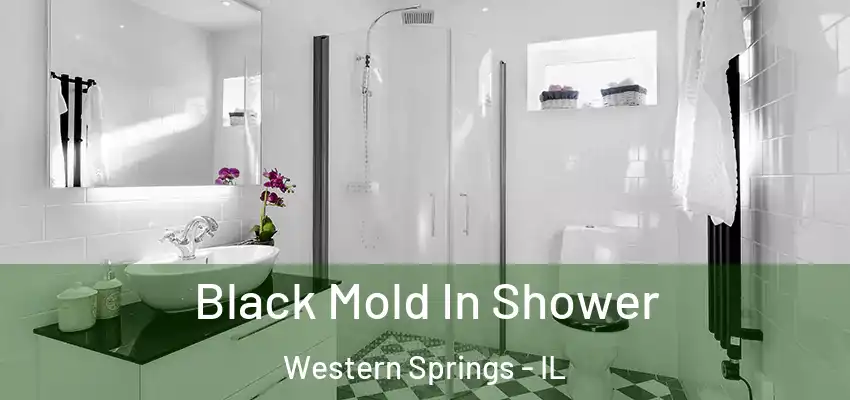 Black Mold In Shower Western Springs - IL