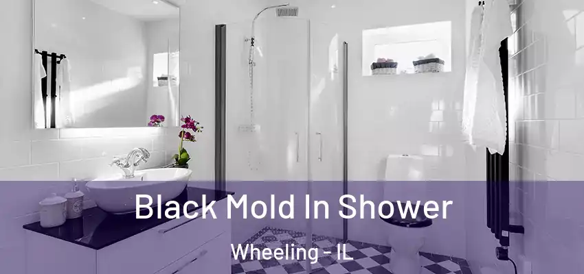 Black Mold In Shower Wheeling - IL