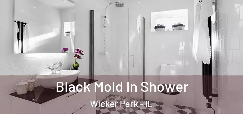 Black Mold In Shower Wicker Park - IL