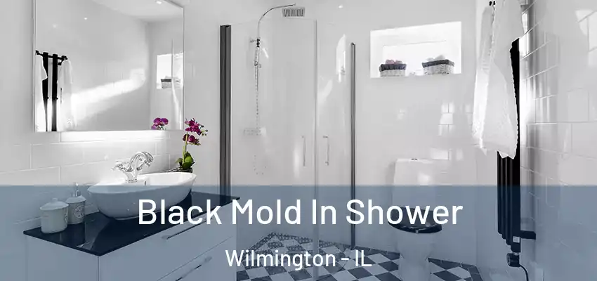 Black Mold In Shower Wilmington - IL