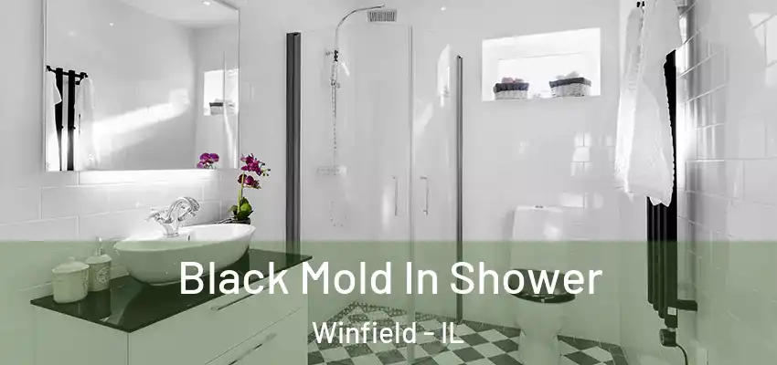  Black Mold In Shower Winfield - IL