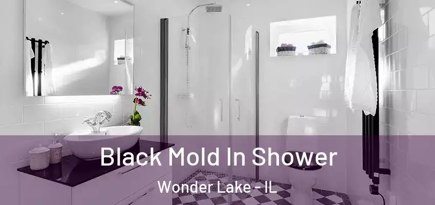 Black Mold In Shower Wonder Lake - IL