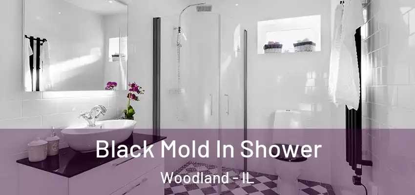 Black Mold In Shower Woodland - IL