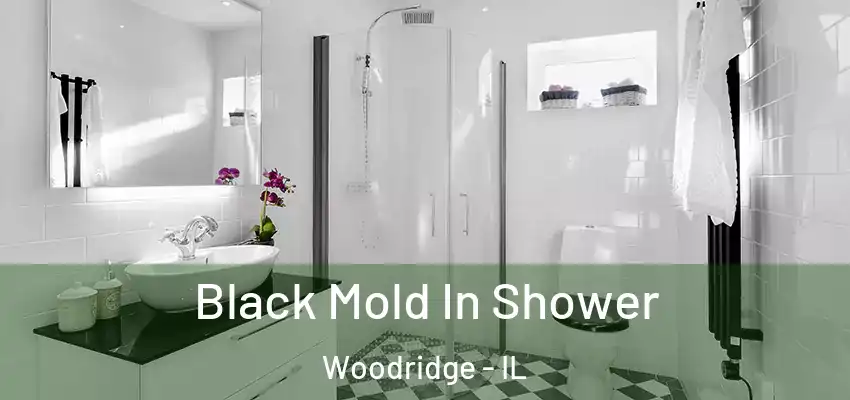 Black Mold In Shower Woodridge - IL