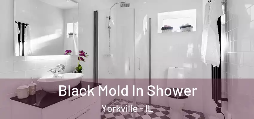 Black Mold In Shower Yorkville - IL