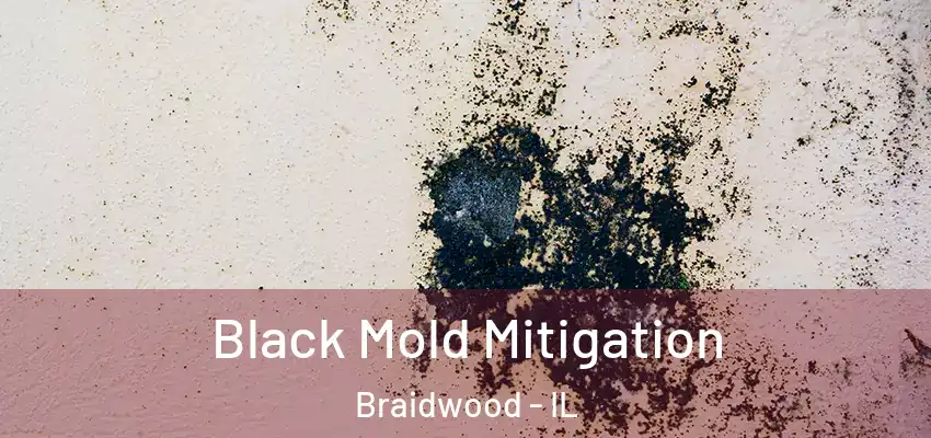  Black Mold Mitigation Braidwood - IL