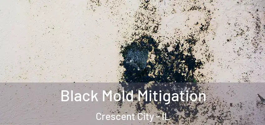  Black Mold Mitigation Crescent City - IL