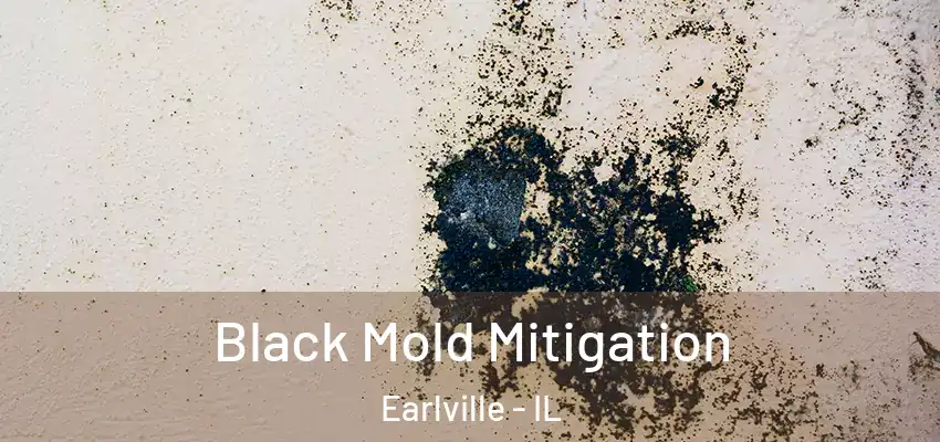  Black Mold Mitigation Earlville - IL