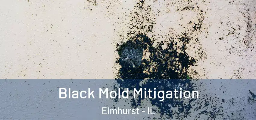  Black Mold Mitigation Elmhurst - IL