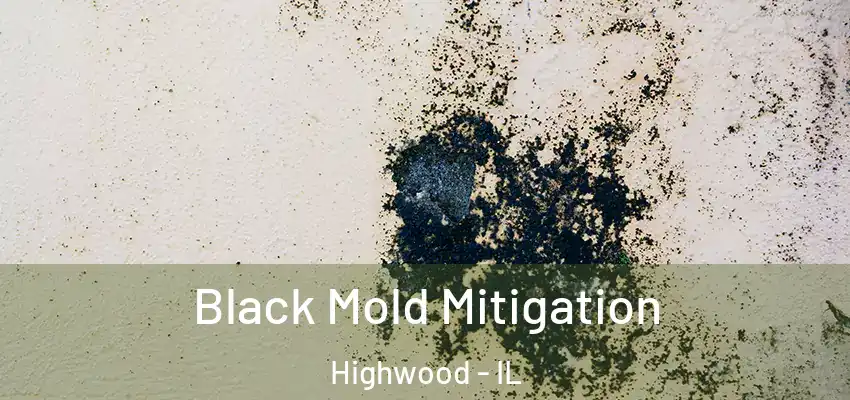 Black Mold Mitigation Highwood - IL