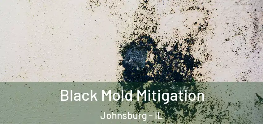 Black Mold Mitigation Johnsburg - IL