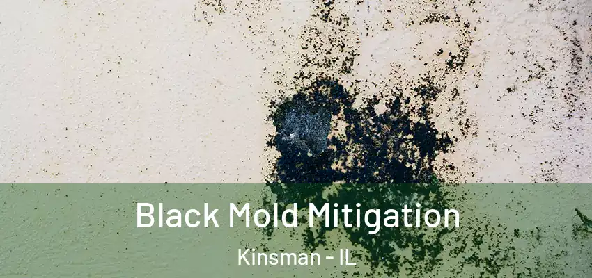 Black Mold Mitigation Kinsman - IL