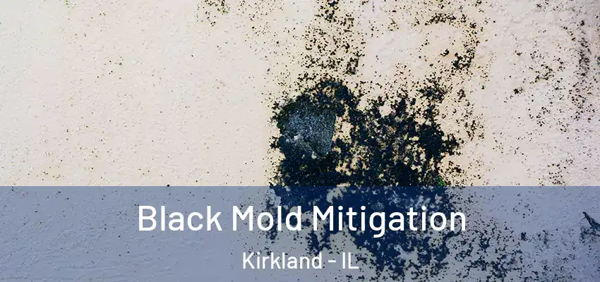 Black Mold Mitigation Kirkland - IL