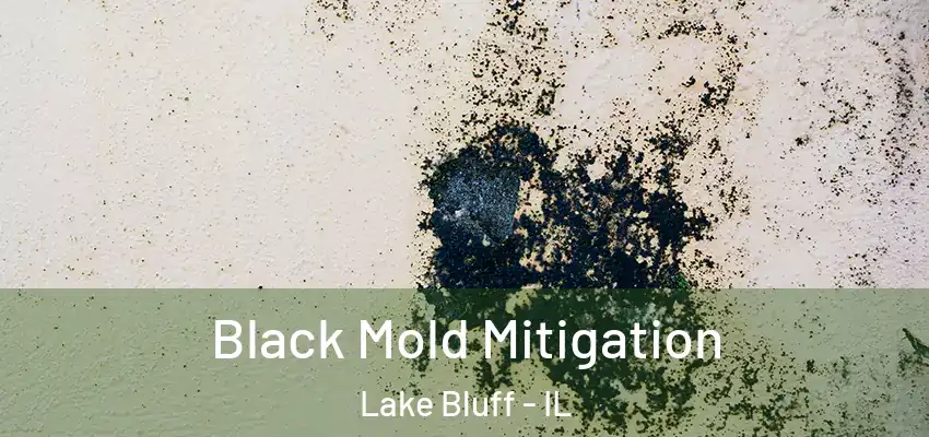 Black Mold Mitigation Lake Bluff - IL