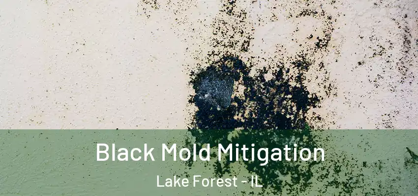  Black Mold Mitigation Lake Forest - IL