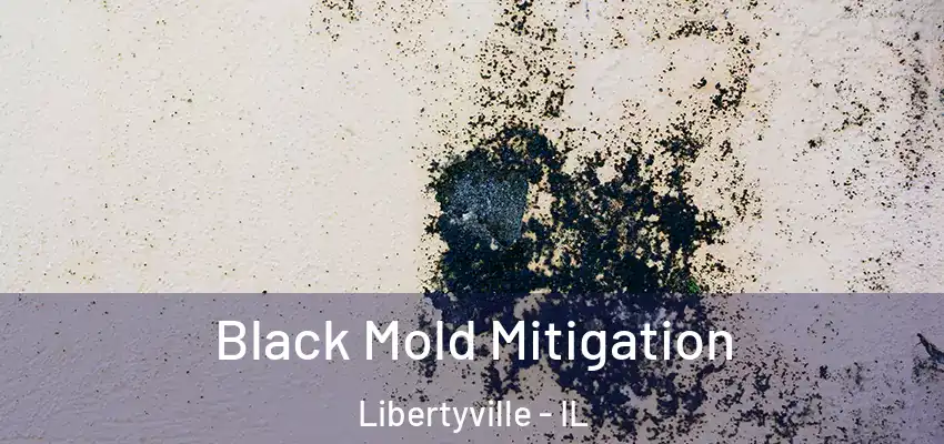 Black Mold Mitigation Libertyville - IL