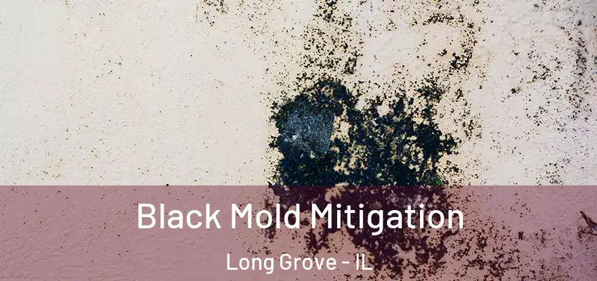 Black Mold Mitigation Long Grove - IL