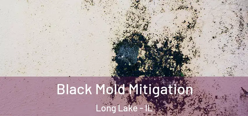  Black Mold Mitigation Long Lake - IL