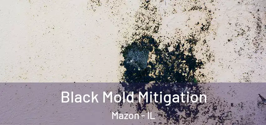  Black Mold Mitigation Mazon - IL