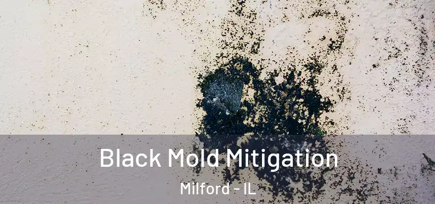 Black Mold Mitigation Milford - IL