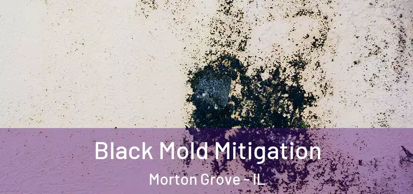 Black Mold Mitigation Morton Grove - IL