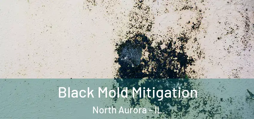 Black Mold Mitigation North Aurora - IL