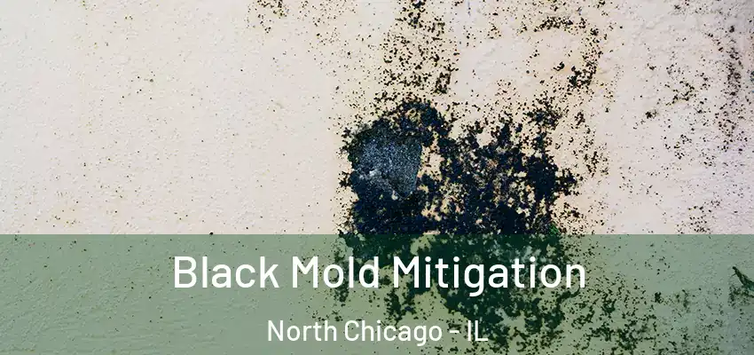 Black Mold Mitigation North Chicago - IL
