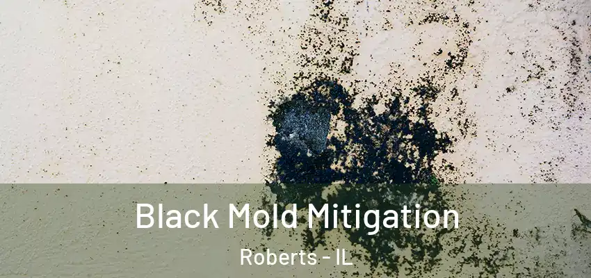  Black Mold Mitigation Roberts - IL