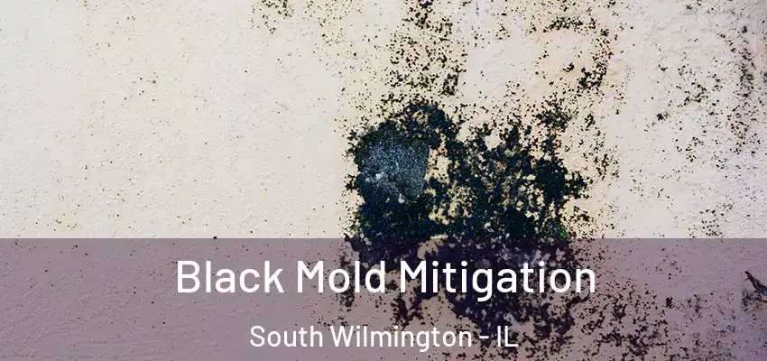 Black Mold Mitigation South Wilmington - IL