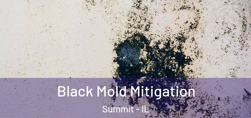  Black Mold Mitigation Summit - IL