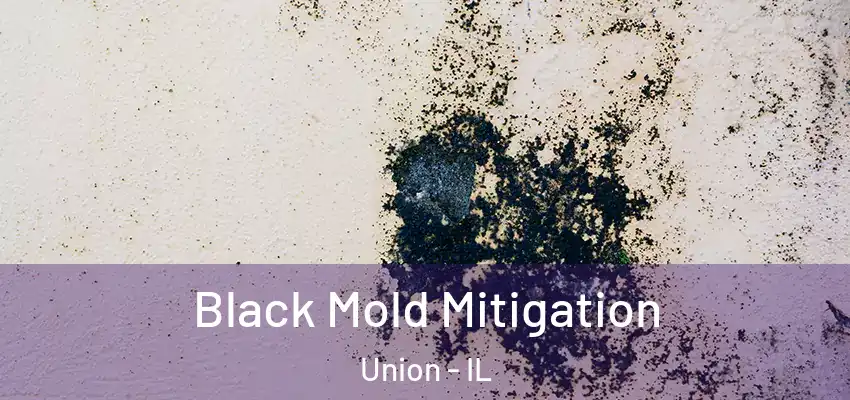  Black Mold Mitigation Union - IL