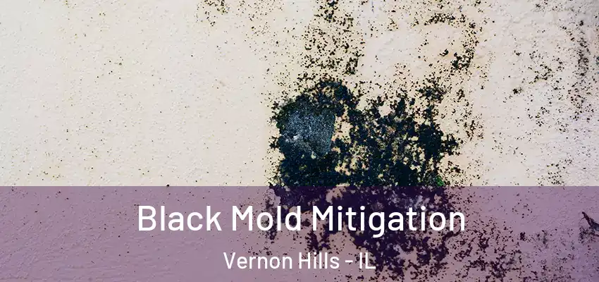 Black Mold Mitigation Vernon Hills - IL