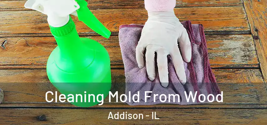  Cleaning Mold From Wood Addison - IL