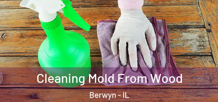  Cleaning Mold From Wood Berwyn - IL