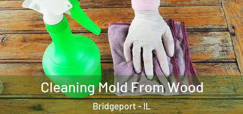 Cleaning Mold From Wood Bridgeport - IL