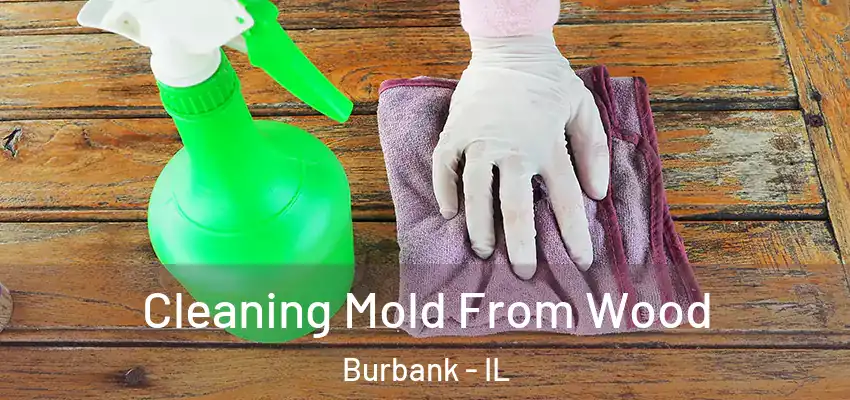  Cleaning Mold From Wood Burbank - IL