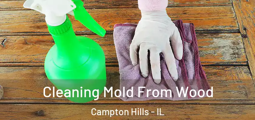  Cleaning Mold From Wood Campton Hills - IL