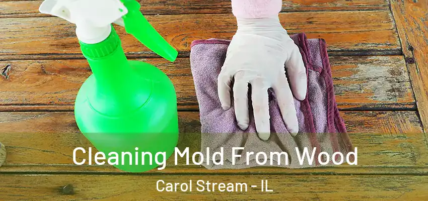  Cleaning Mold From Wood Carol Stream - IL