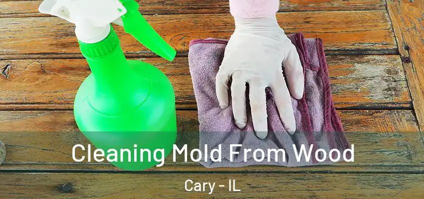 Cleaning Mold From Wood Cary - IL
