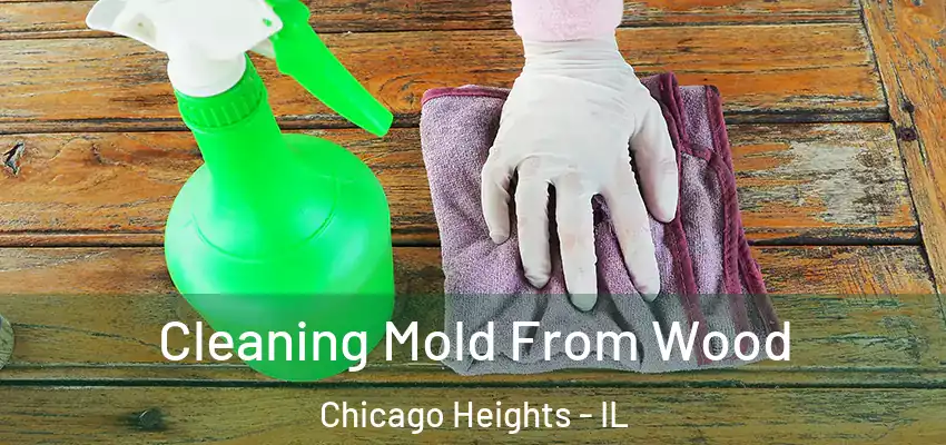  Cleaning Mold From Wood Chicago Heights - IL