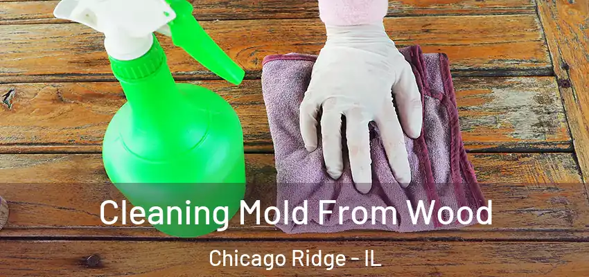  Cleaning Mold From Wood Chicago Ridge - IL