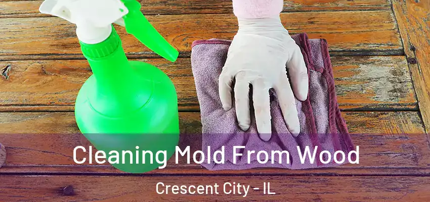  Cleaning Mold From Wood Crescent City - IL